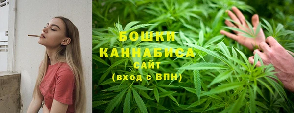 сатива Покров